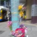 브리즈번 101 이미지