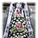 성애플라워 이미지
