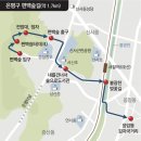 편백힐링