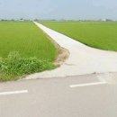 장신농장 이미지