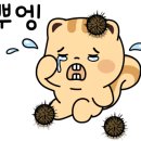 눈뜨면바다 이미지