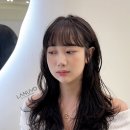 라도시헤어 이미지