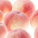 경봉마트 이미지