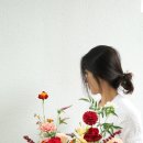 디자인앤피 이미지