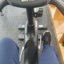 가오짐 피티샵 이미지