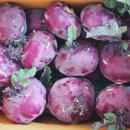 신태백관 이미지