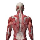 동화한의원 이미지