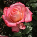 서울시 청소년수련관 이미지