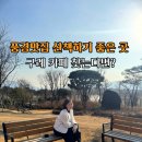 구례향기 | 구례 가볼만한 곳 구례 대형카페 반야원 플라타너스