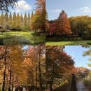 경상남도수목원(수생식물원) | 진주 근교 가볼만한곳 경상남도수목원 단풍명소 추천