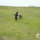 꼭지목장 이미지