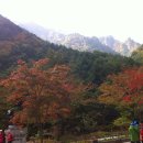 무릉계곡 이미지