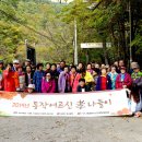 의암 스카이워크 이미지