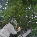 논공119안전센터 이미지