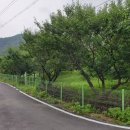 평지농장 이미지