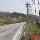 로타리 꽃농원 이미지