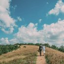 저스트메리드스냅