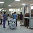 경마장가는길 이미지