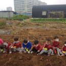 윤가네 농장 이미지