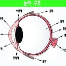신사약국 이미지