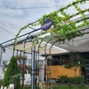 애월연어경산점 이미지