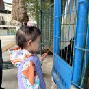 새론목장 이미지