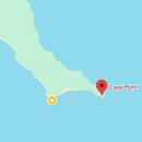 케이프타운 | [아프리카 3주 찍먹여행]🇿🇦남아공 3박4일 케이프타운 여행기록