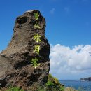 수월봉민박 이미지