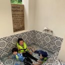 도제랑인제주 이미지