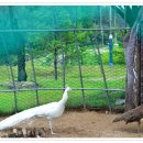 이슬공원 이미지