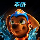 퍼피쿠키 이미지