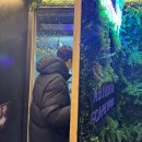 포세이돈노래타운(중동점) | 경기도 부천시 중동, 이색 데이트 겨울 데이트로 너무...이스케이프 포세이돈 솔직후기 리얼후기 방문후기