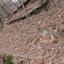 영지농장 이미지