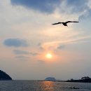 보목 이미지