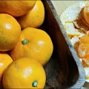 송지농장 이미지