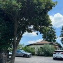 하례학림로 이미지