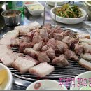 돈육돈