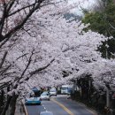 충민로 이미지