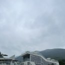 수피아포레스트
