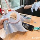 열한시작업실 이미지