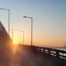파파컨설던트