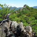 제791차산행 박월산(896m).문암산(940m).쪼록바위봉(1087m).조람봉(1004.5m) /태백.봉화 2014년7월10일 이미지