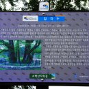 영주 금성대군 신단 이미지