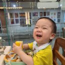 레드하우스 이미지