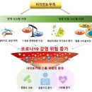 비타민 이미지