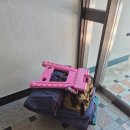 운송 | [부산 냉장고 이전설치] 리프트 차량 활용한 냉장고 안전 운송 후기