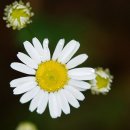 대한건설 주식회사 이미지