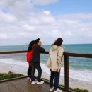 퍼스트피시카페 이미지