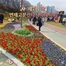 연제기획 | 2026년 제7회 연제 고분 판타지 축제 후기 및 현장 사진