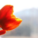 원일농원 이미지